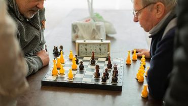 giấy phép Sodo